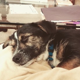 11255537_10153817619489863_6224827004124574702_n